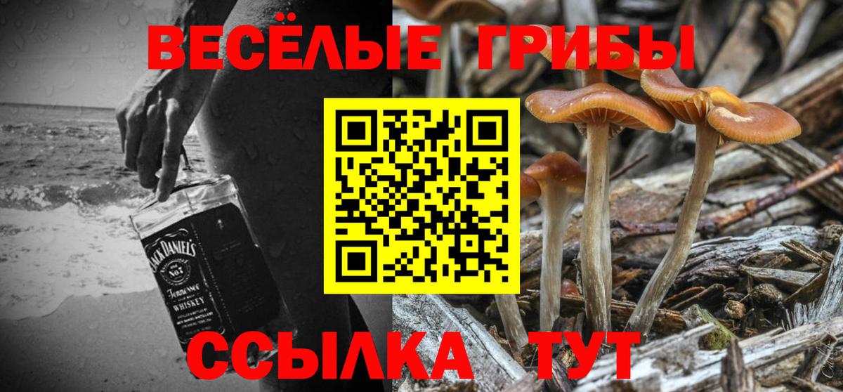 закладка  Вход с VPN  Маркс  Галлюциногенные грибы MAGIC MUSHROOMS 