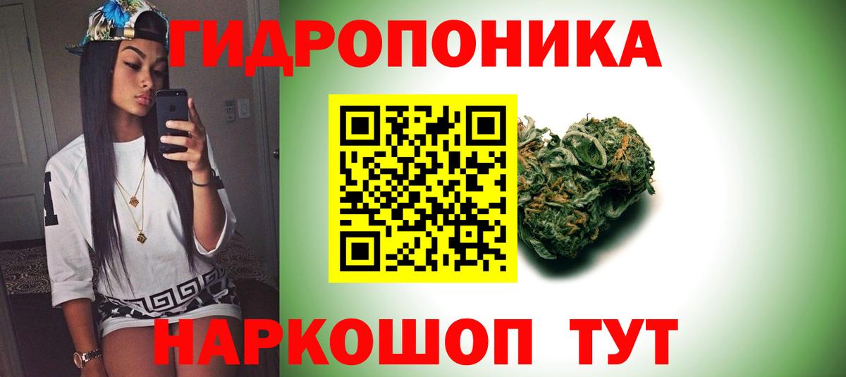 Бошки марихуана VHQ  Бошки Шишки OG Kush  Каннабис индика  Маркс  Вход с VPN 